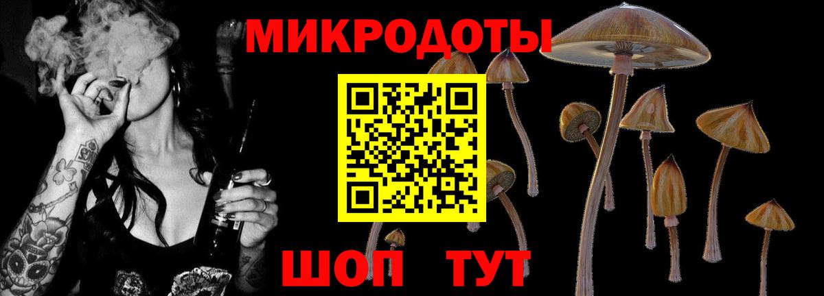Краснокамск  Галлюциногенные грибы ЛСД  Вход с VPN  Псилоцибиновые грибы мухоморы 